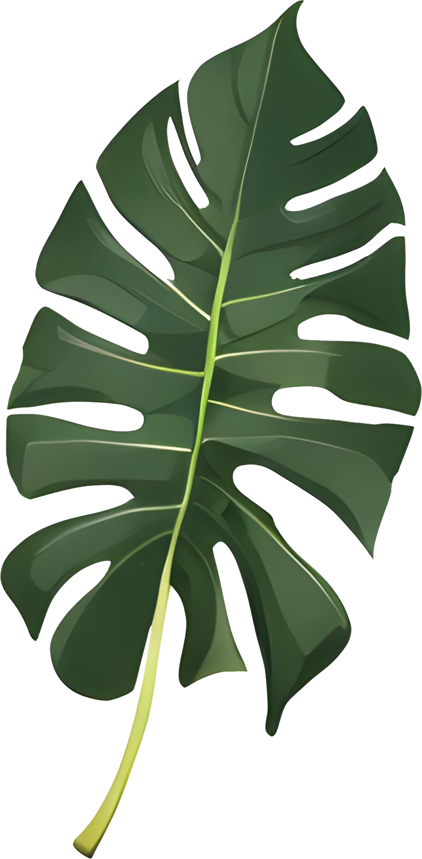 High-Res Leaf PNG Green Foliage Image, Tropical different type exotic leaves set. Jungle plants. Calathea, Monstera and different style of palm leaves_9.webp